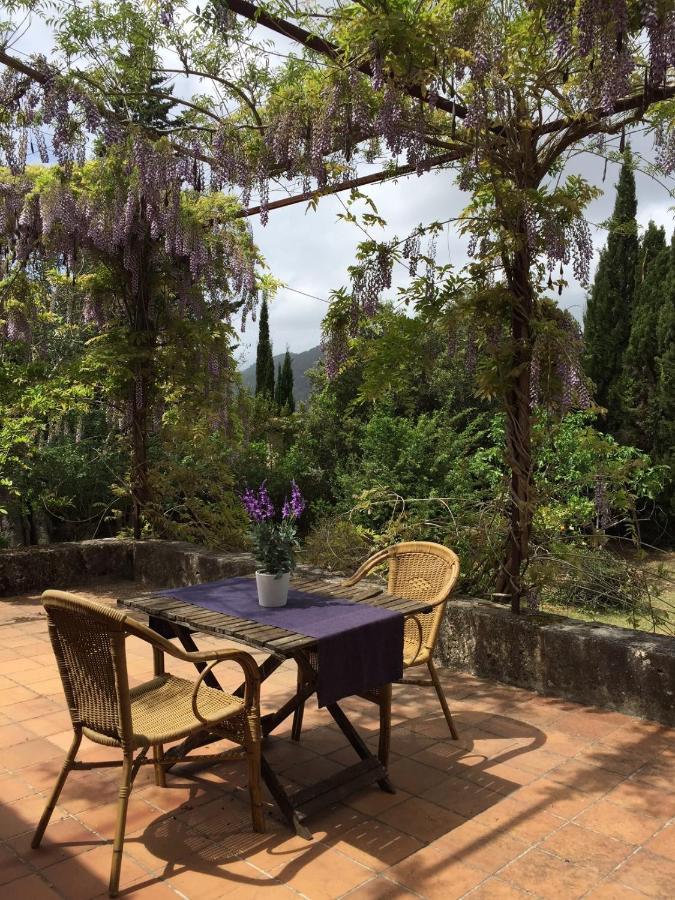 Finca Can Trui Teresa โปเญนซา ภายนอก รูปภาพ